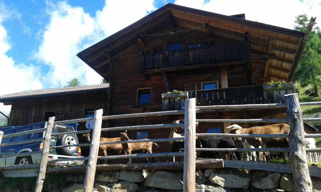 Appartement Unterniggleralm à Thurn Extérieur photo