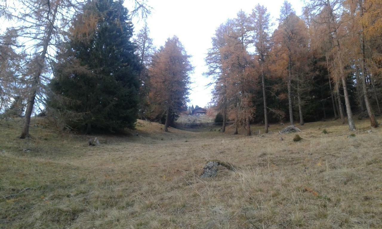 Appartement Unterniggleralm à Thurn Extérieur photo